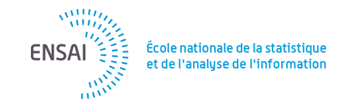 Replace or remove this logo